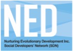 NED logo