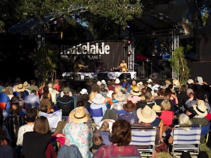 audience at Womad